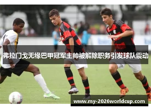 弗拉门戈无缘巴甲冠军主帅被解除职务引发球队震动