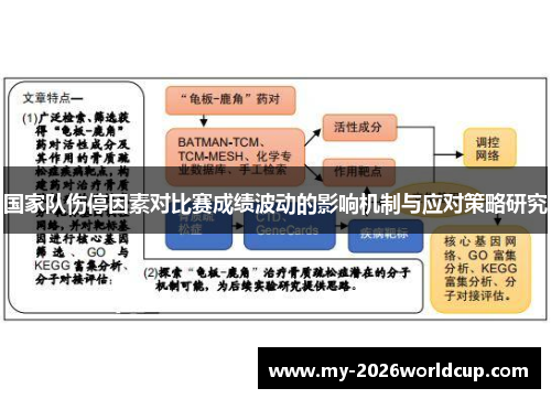 国家队伤停因素对比赛成绩波动的影响机制与应对策略研究