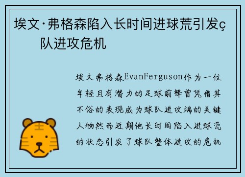 埃文·弗格森陷入长时间进球荒引发球队进攻危机 埃文·弗格森陷入长时间进球荒引发球队进攻危机